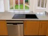 Silver starburst quartz west london project