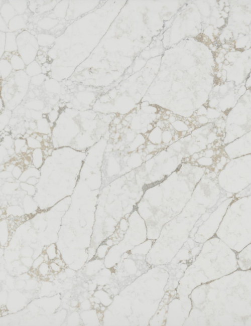 Arabescato Capri quartz slab