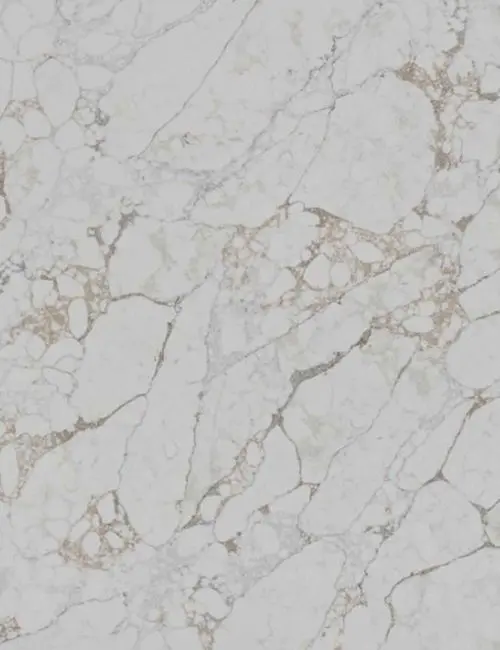 Arabescato Capri slab