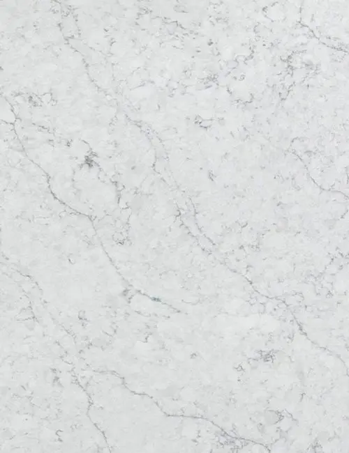 Calacatta Exotic slab