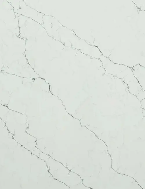 Carrara Venatino slab