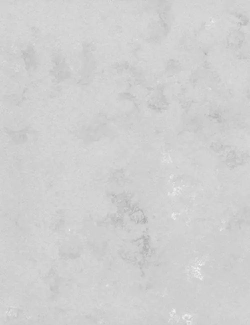 Concrete Oyster