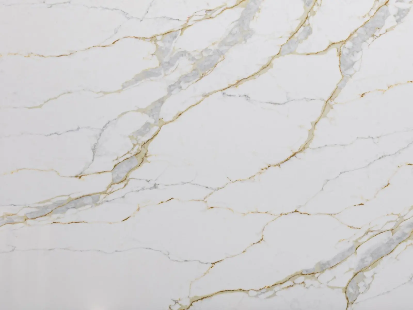 Fortis Slab Fortis Slab