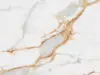 Fortis close-up