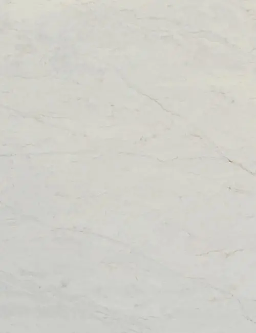 Traonyx slab