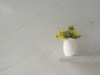 Calacatta Milan quartz worktop