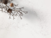 Calacatta Valiente quartz worktop