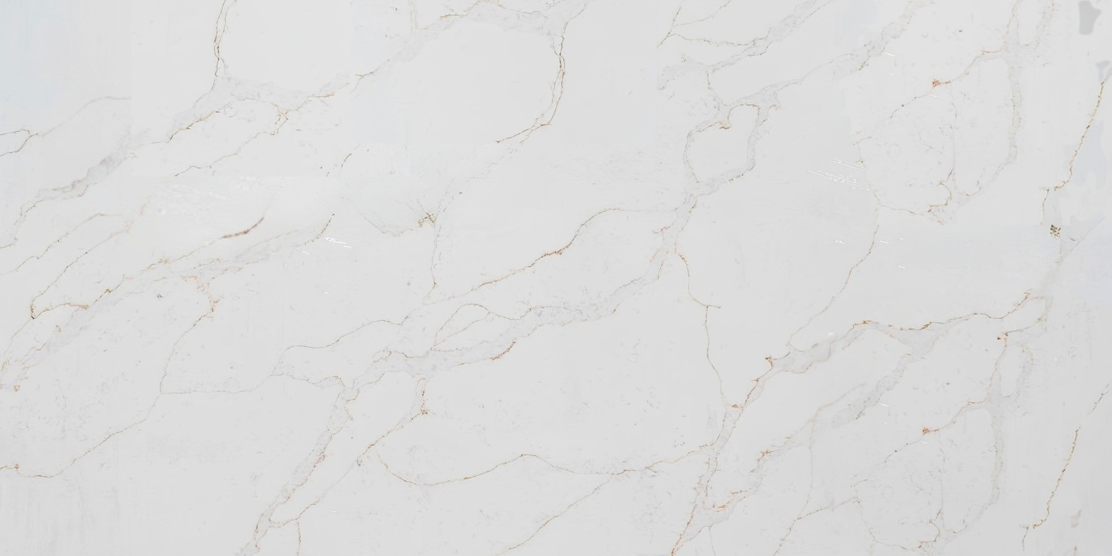 Calacatta Classic