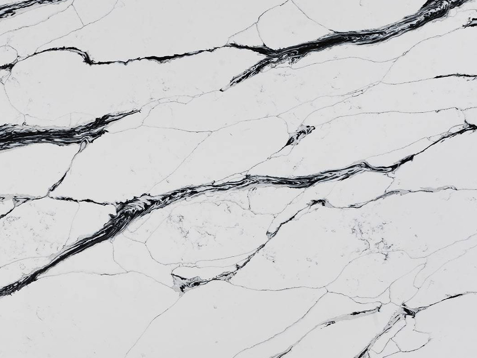 Calacatta Black Fusion
