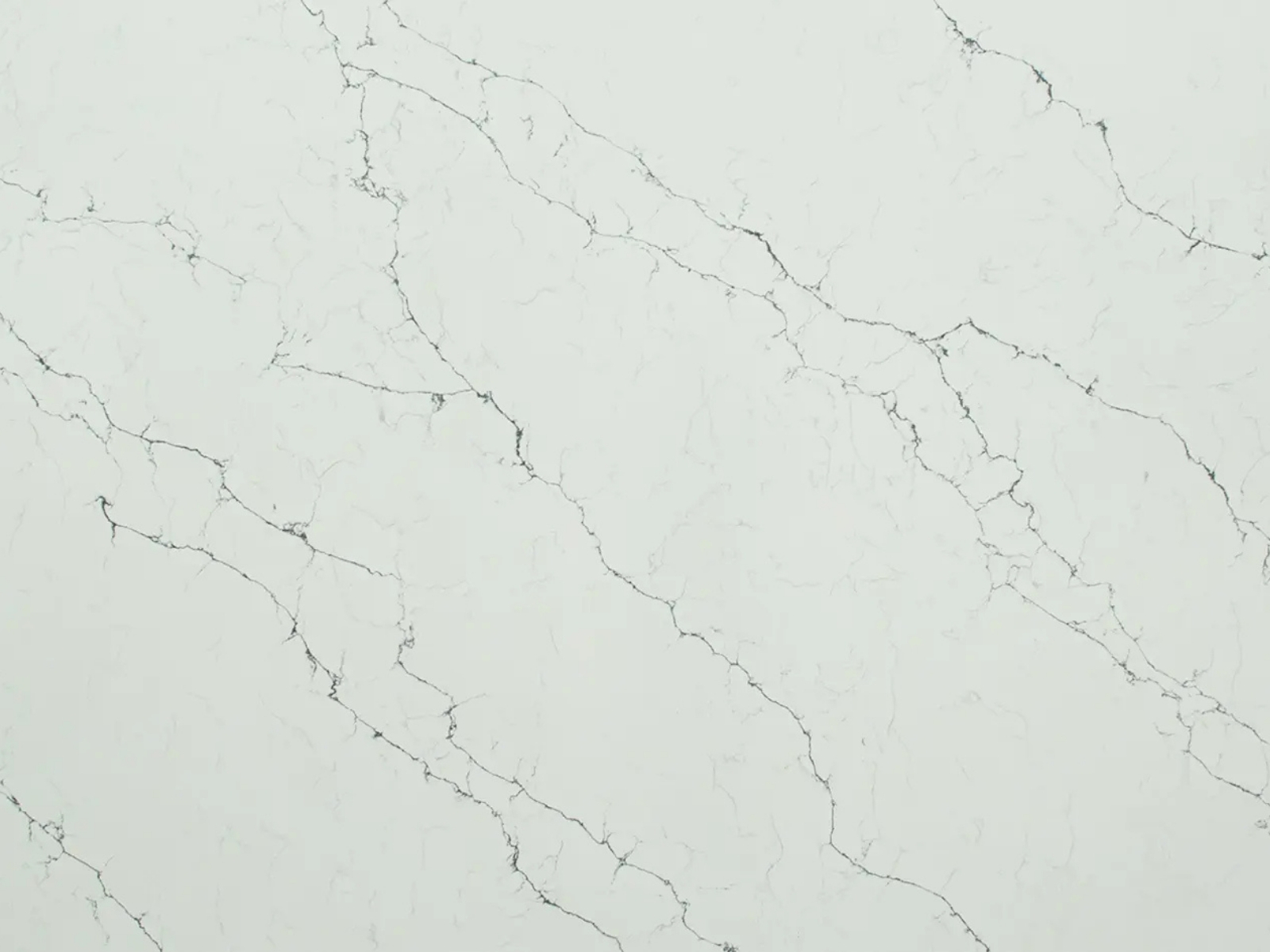 Carrara Venatino