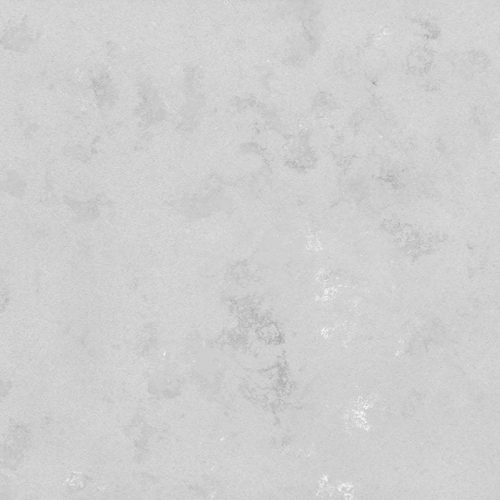 Concrete Oyster