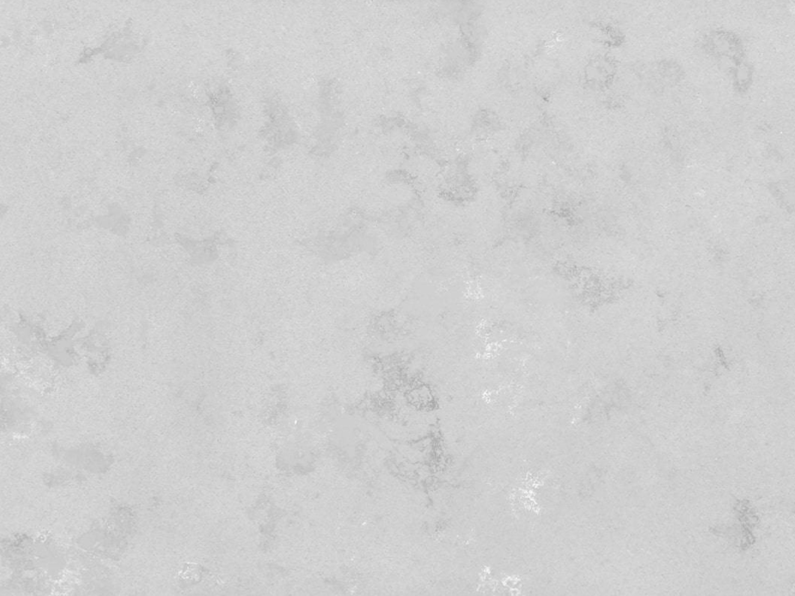 Concrete Oyster